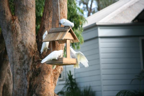 Huskisson Holiday Motel Cabins Jervis Bay Luaran gambar